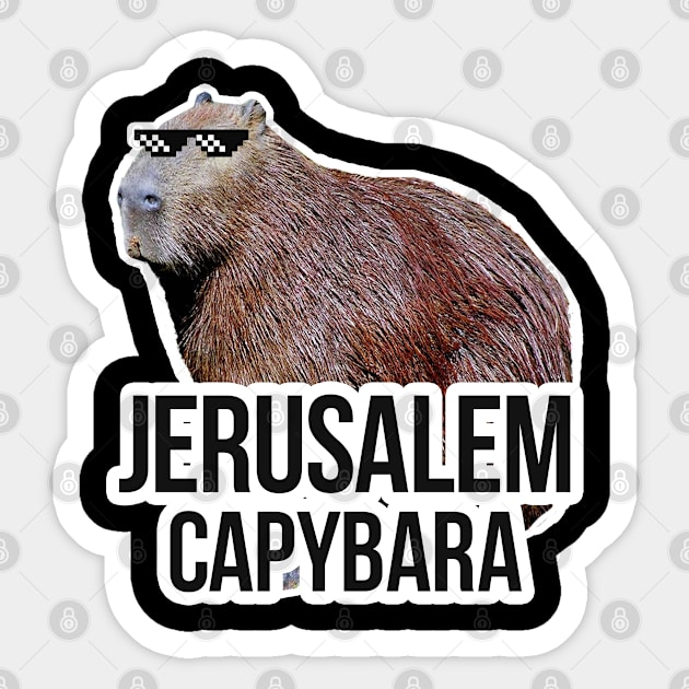 Jerusalem capybara meme Sticker by NeedsFulfilled